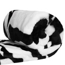 zebra1.jpg