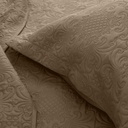 Clara Taupe Close Up