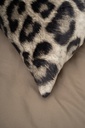 DSC00352