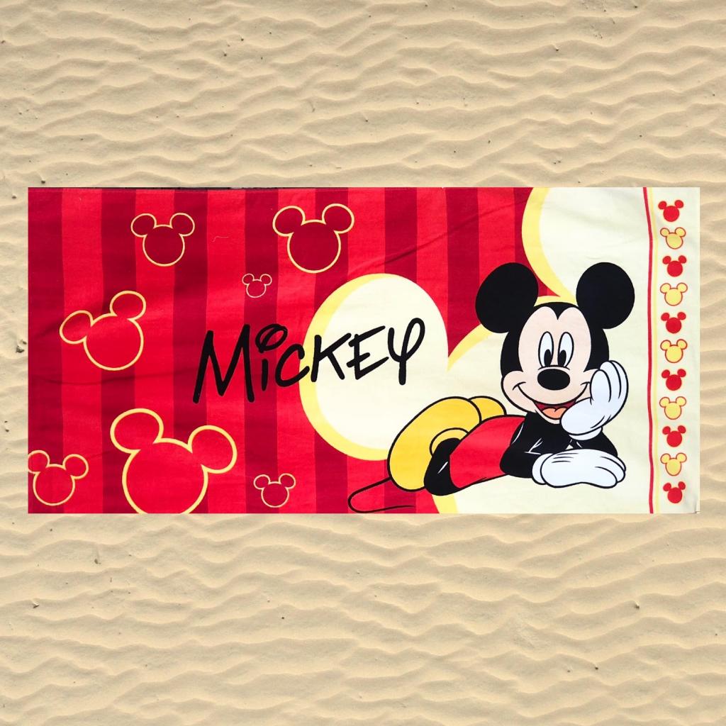 BRISAČA ZA N APLAŽO MICKEY