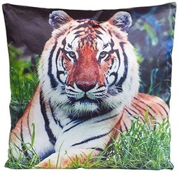 [J-TIGAR] VZGLAVNIK TIGER 45X45