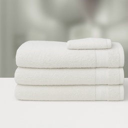 [BASIC-WHITE] BRISAČA BASIC WHITE